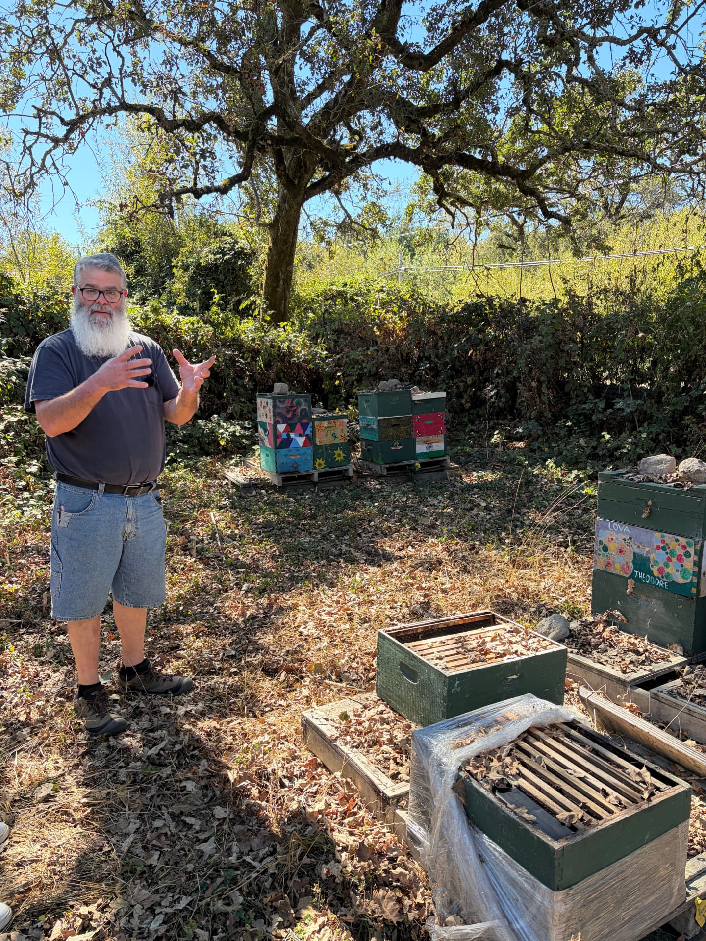 Gerald beside the colorful beehives at Buddy's Farm